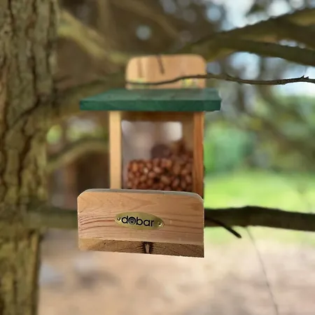 Familienfreundliche Aschenputtel * Kassel