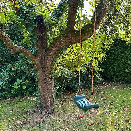 Familienfreundliche Aschenputtel *