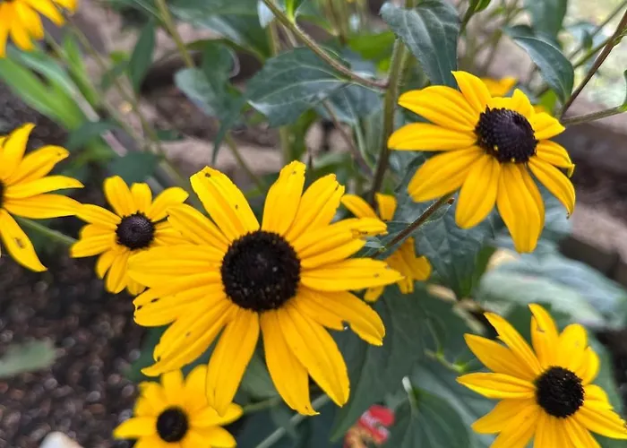 Familienfreundliche Aschenputtel Apartamento