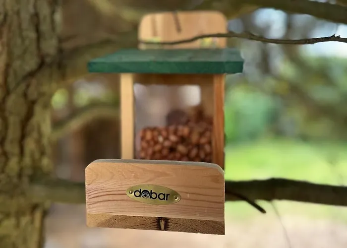 Familienfreundliche Aschenputtel * Kassel